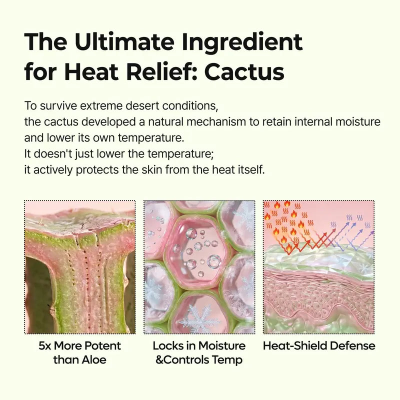 [Dr.Melaxin Official] CACTOX PORE RELIEF MULTI BALM with Cactus Cooling Reduce Puffiness & Pore Tightening for Visible Pore Care Skin Repair