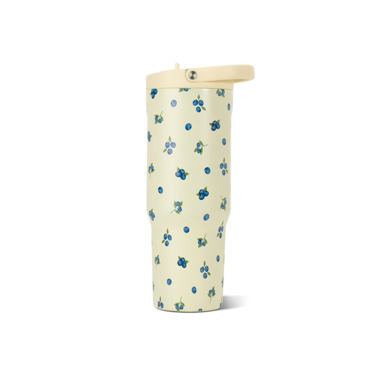 Freshly Pick'd HydroJug 32 oz Sport Water Bottle